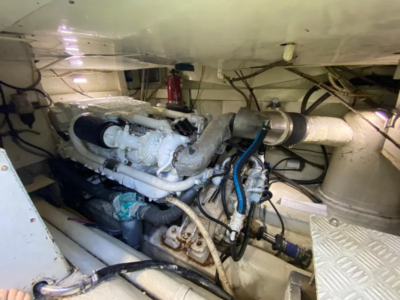 Slide: The Image of Mares 58 Power Cat 1995 - 75