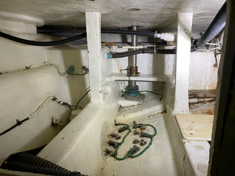 Slide: The Image of Mares 58 Power Cat 1995 - 78