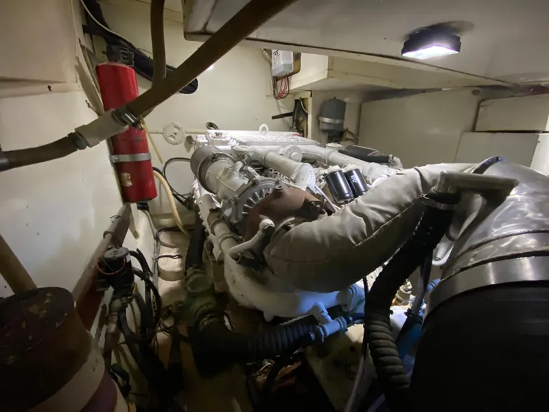 Slide: The Image of Mares 58 Power Cat 1995 - 80