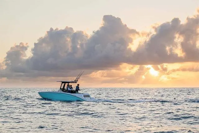 Slide: The Image of Yamaha 255 FSH Sport H 2025 - 18