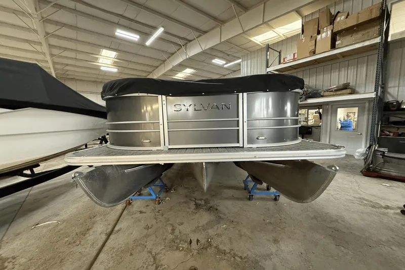 Slide: The Image of Sylvan MIRAGE8522 2021 - 1