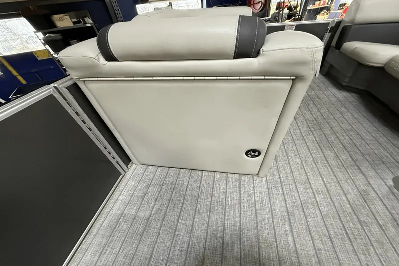 Slide: The Image of Sylvan MIRAGE8522 2021 - 10