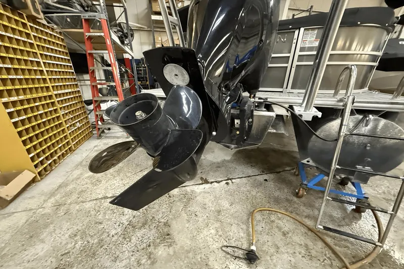 Slide: The Image of Sylvan MIRAGE8522 2021 - 32