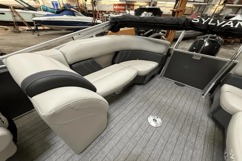 Slide: The Image of Sylvan MIRAGE8522 2021 - 5