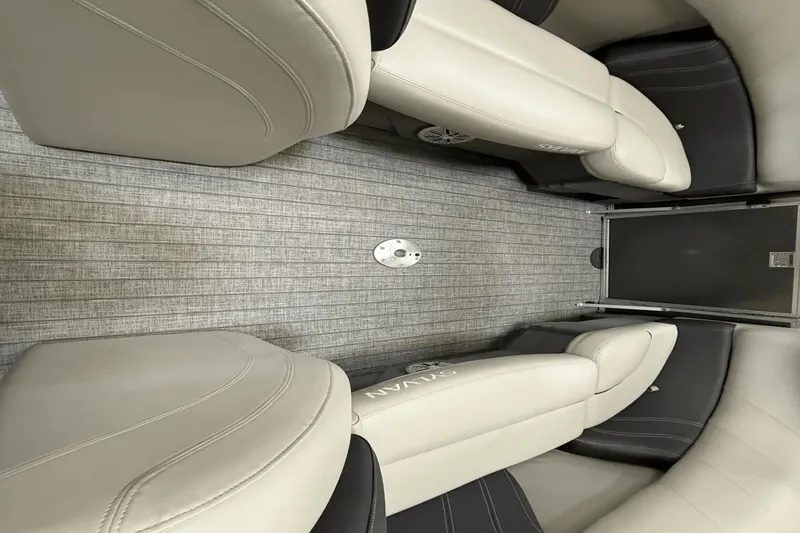 Slide: The Image of Sylvan MIRAGE8522 2021 - 6