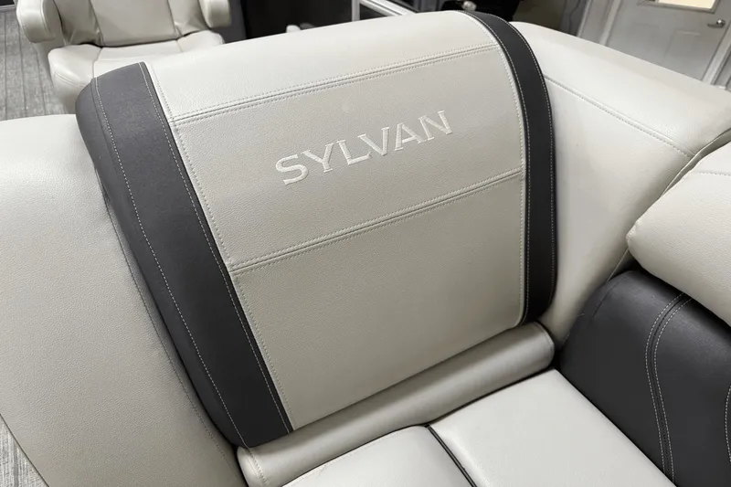 Slide: The Image of Sylvan MIRAGE8522 2021 - 8