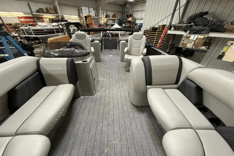 Slide: The Image of Sylvan MIRAGE8522 2021 - 9