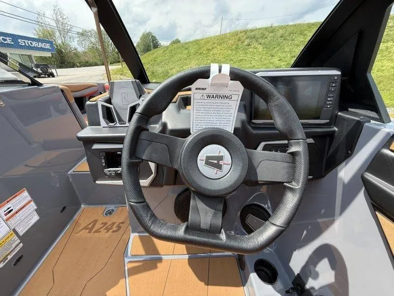 Slide: The Image of Axis A245 2025 - 10