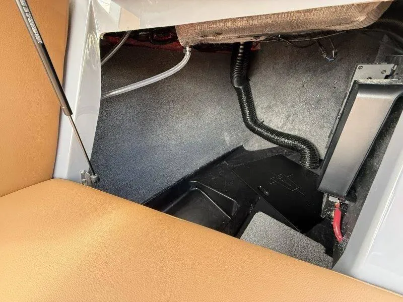 Slide: The Image of Axis A245 2025 - 47