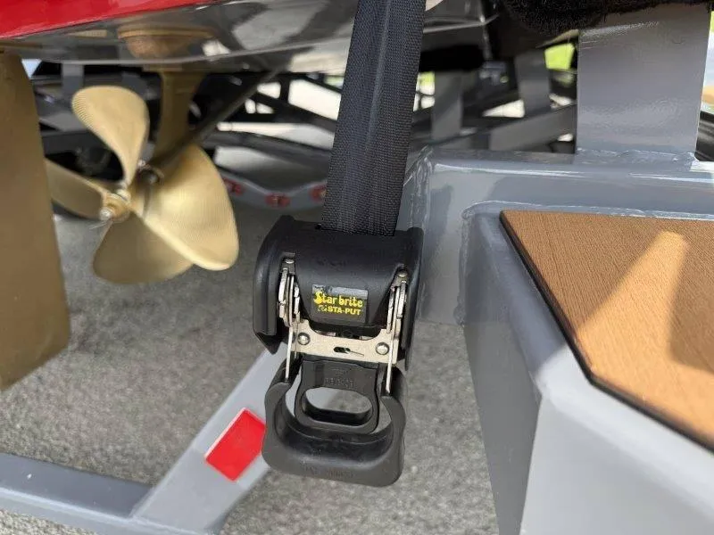 Slide: The Image of Axis A245 2025 - 75