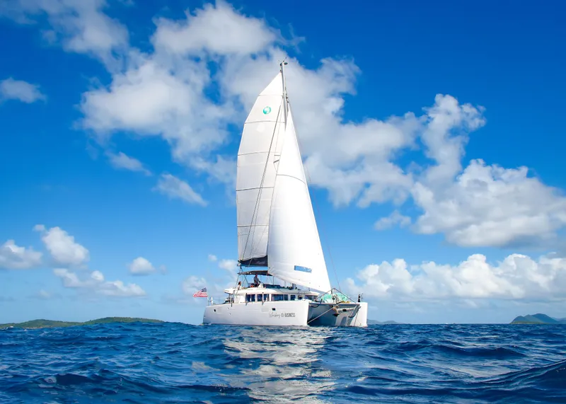 The Image of 2015 Lagoon 450F catamaran sailing on open sea under clear blue sky. - 0