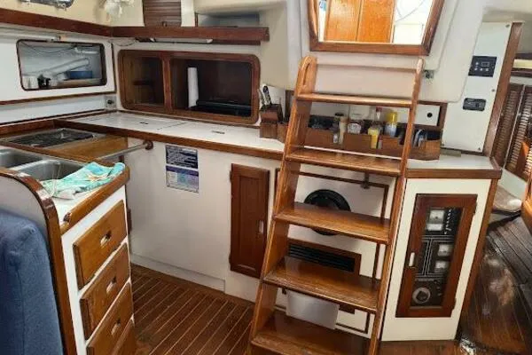 Slide: The Image of Morgan 440 1989 - 50