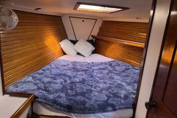 Slide: The Image of Morgan 440 1989 - 80