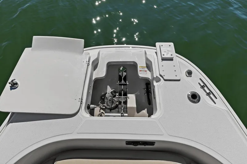 Slide: The Image of Boston Whaler 270 Dauntless 2020 - 20