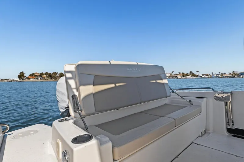 Slide: The Image of Boston Whaler 270 Dauntless 2020 - 27