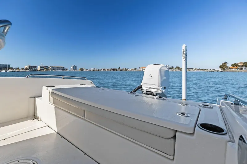 Slide: The Image of Boston Whaler 270 Dauntless 2020 - 28
