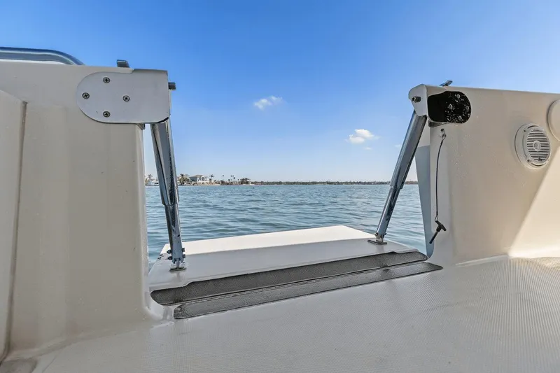 Slide: The Image of Boston Whaler 270 Dauntless 2020 - 30
