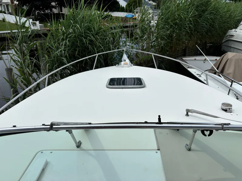 Slide: The Image of 2000 Rinker 242 Fiesta V boat docked near tall reeds. - 3