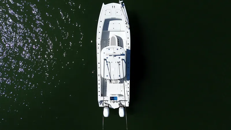 Slide: The Image of Freeman 34VH 2022 - 100