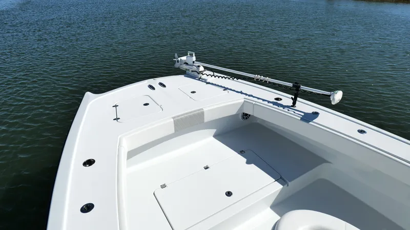 Slide: The Image of Freeman 34VH 2022 - 55