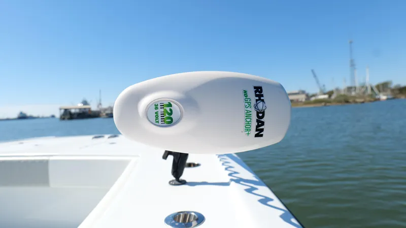 Slide: The Image of Freeman 34VH 2022 - 58