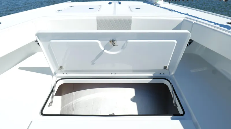 Slide: The Image of Freeman 34VH 2022 - 69