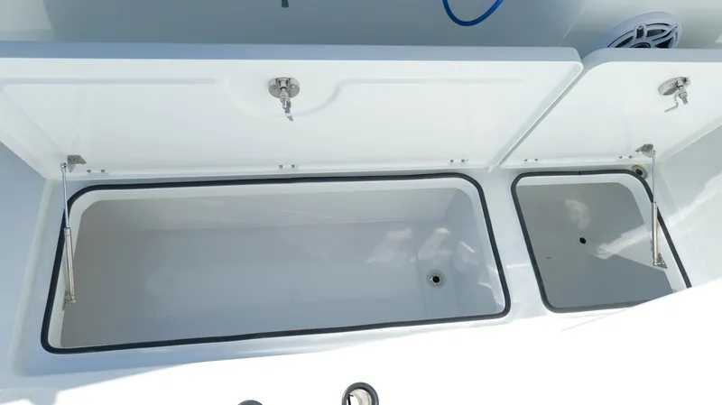 Slide: The Image of Freeman 34VH 2022 - 72