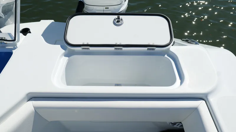 Slide: The Image of Freeman 34VH 2022 - 73