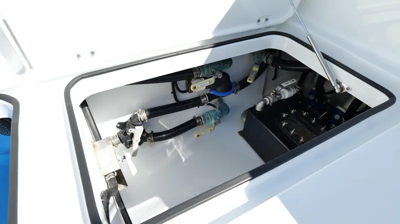 Slide: The Image of Freeman 34VH 2022 - 78