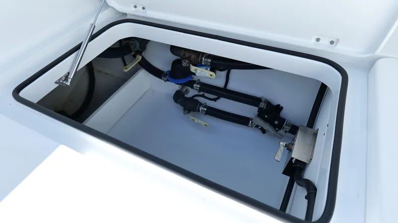 Slide: The Image of Freeman 34VH 2022 - 79