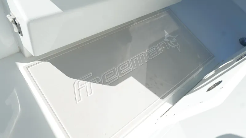 Slide: The Image of Freeman 34VH 2022 - 85