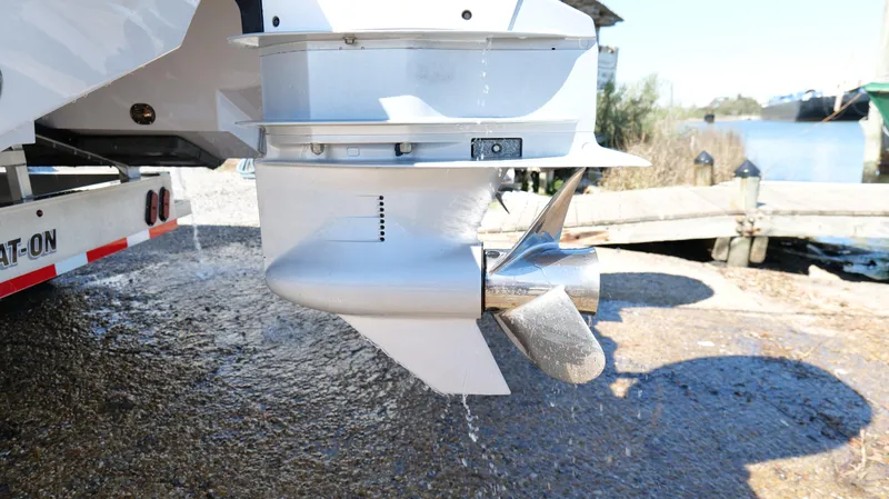 Slide: The Image of Freeman 34VH 2022 - 88