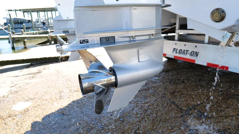 Slide: The Image of Freeman 34VH 2022 - 89