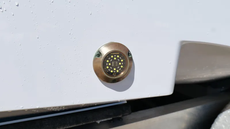 Slide: The Image of Freeman 34VH 2022 - 90