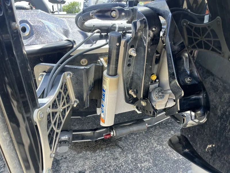 Slide: The Image of Bass Cat Caracal STS 2024 - 15