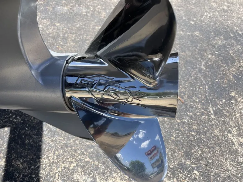 Slide: The Image of Bass Cat Caracal STS 2024 - 16