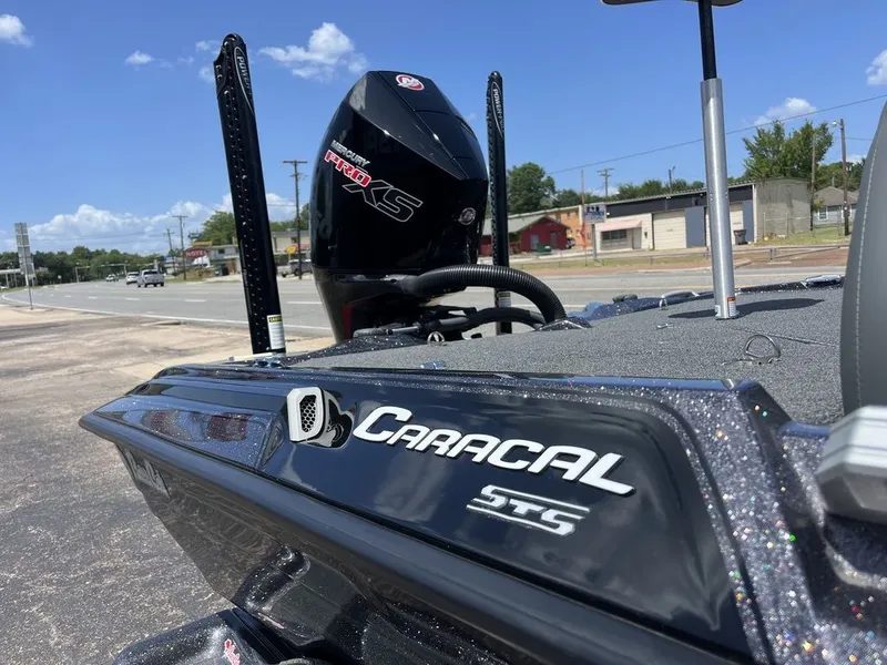 Slide: The Image of Bass Cat Caracal STS 2024 - 17