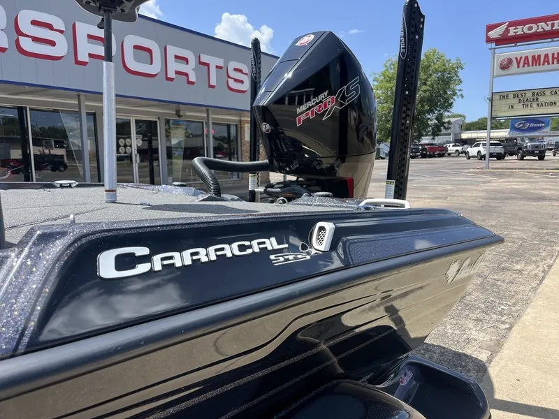 Slide: The Image of Bass Cat Caracal STS 2024 - 29