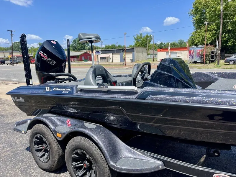 Slide: The Image of Bass Cat Caracal STS 2024 - 5