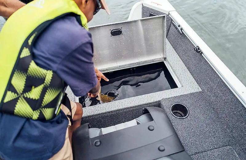 Slide: The Image of Person placing fish in livewell on 2025 Lowe FM 1775 WT boat. - 0