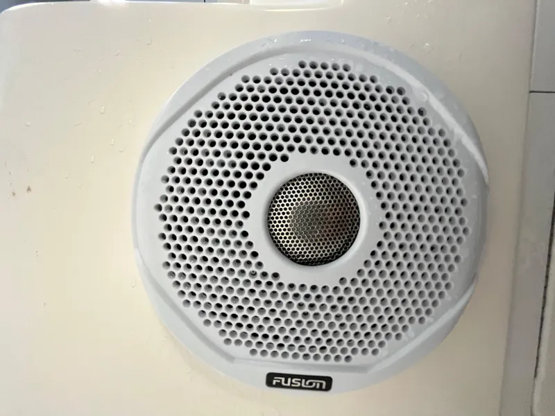 Slide: The Image of White Fusion speaker on a Godfrey FD211, 2005 model. - 19