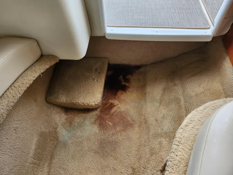 Slide: The Image of 2007 Rinker 246 Captiva Cuddy interior with stained carpet near cabin entrance. - 26