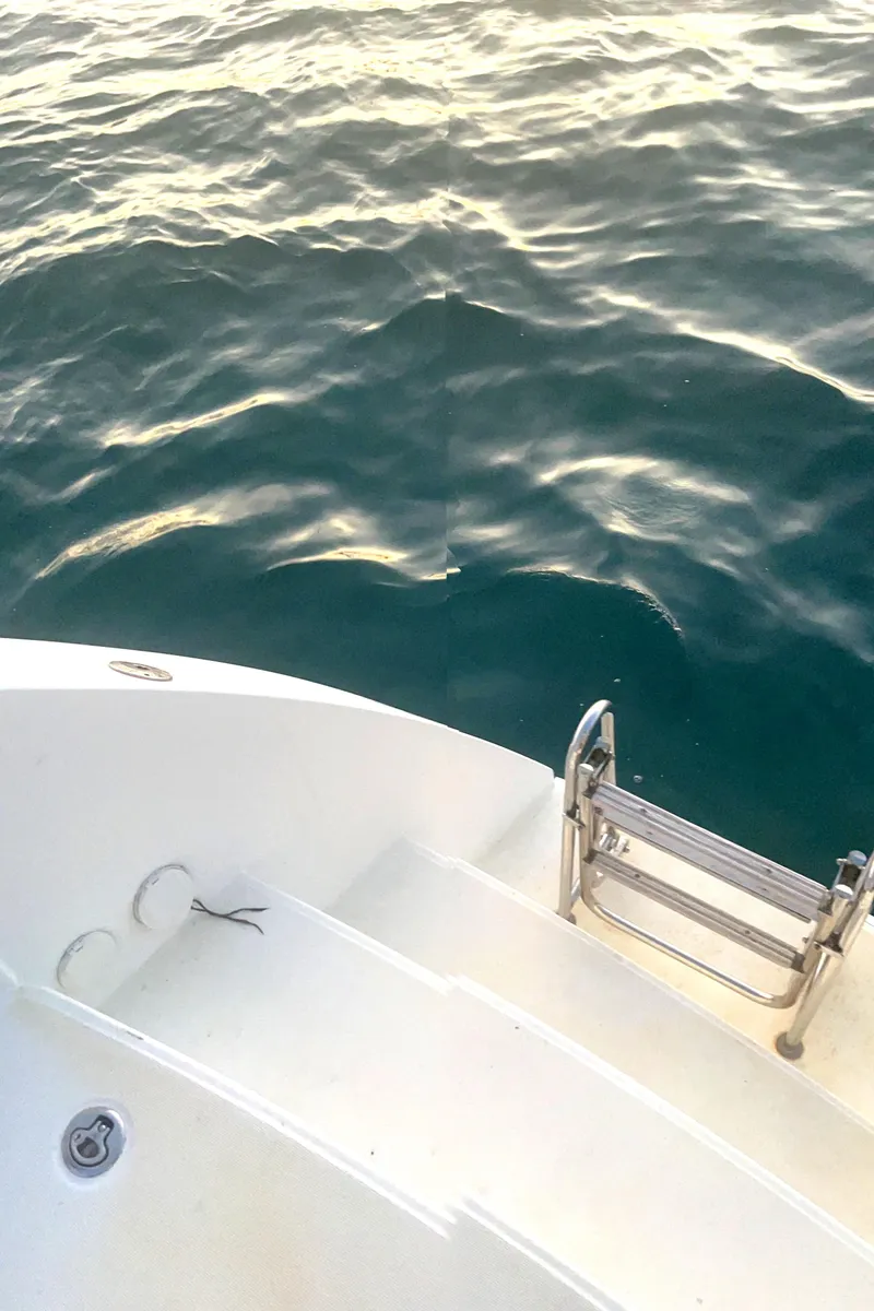 Slide: The Image of Lagoon 450 F yacht deck with ladder, 2016 model, overlooking calm ocean waters. - 45