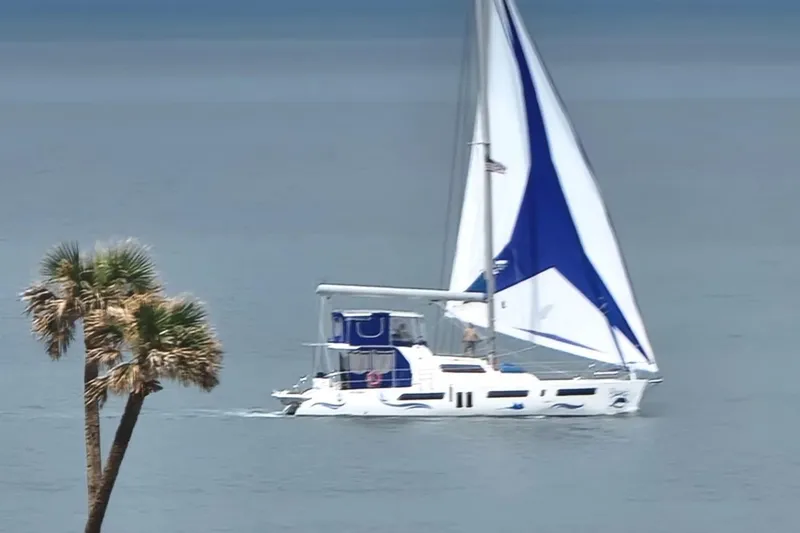 Slide: The Image of Sailing catamaran Royal Cape Majestic 570 Flybridge, 2021, on calm waters near palm trees. - 11