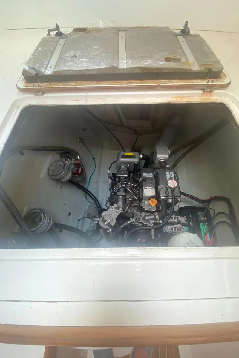 Slide: The Image of Leopard 38 2003 - 53