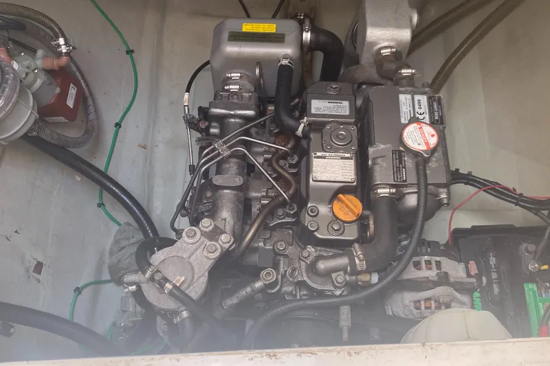 Slide: The Image of Leopard 38 2003 - 54