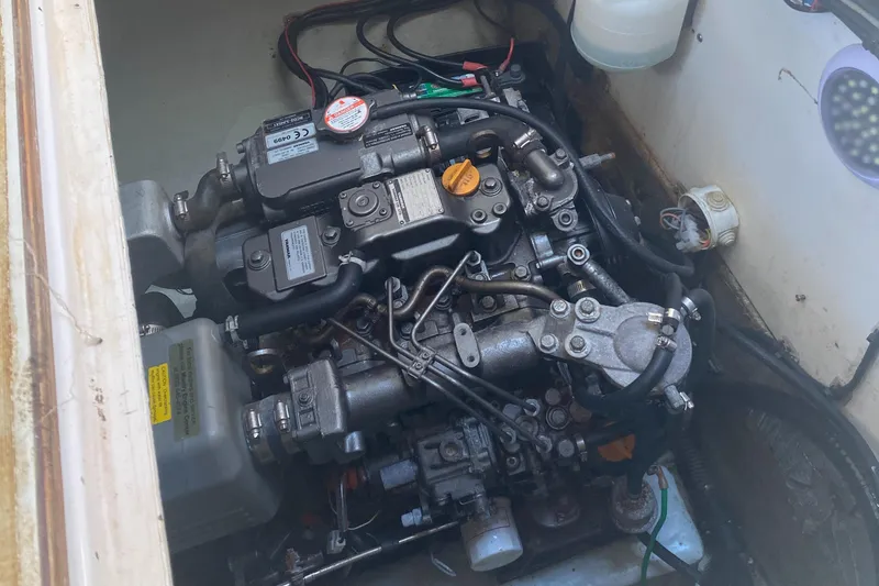 Slide: The Image of Leopard 38 2003 - 55