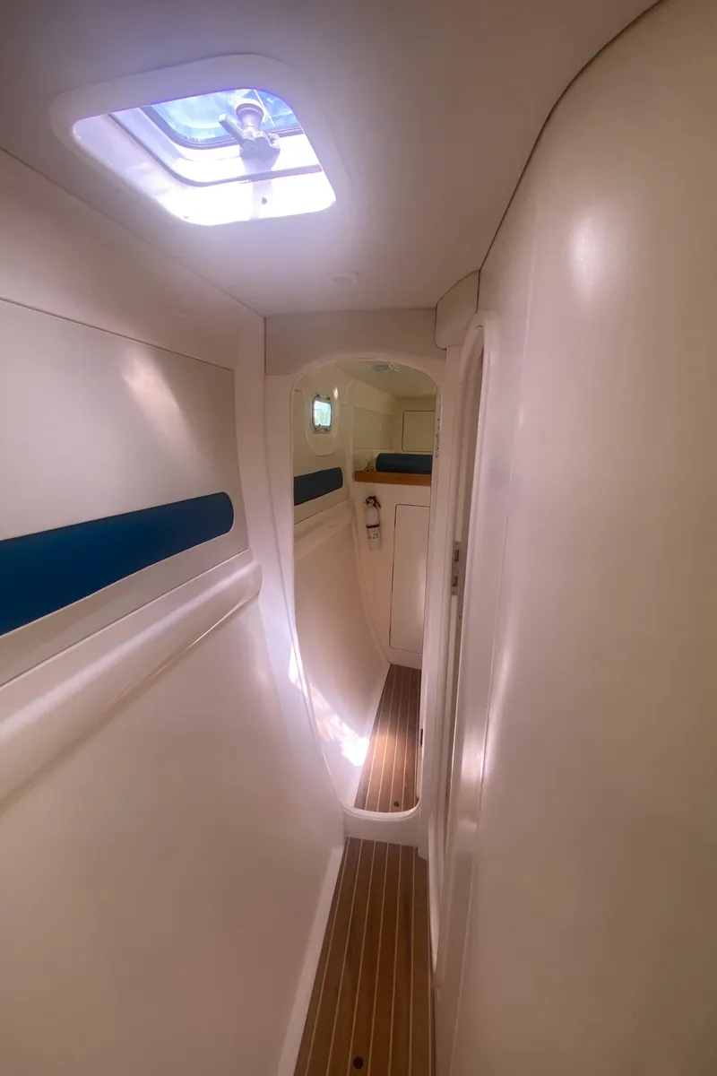 Slide: The Image of Leopard 38 2003 - 56