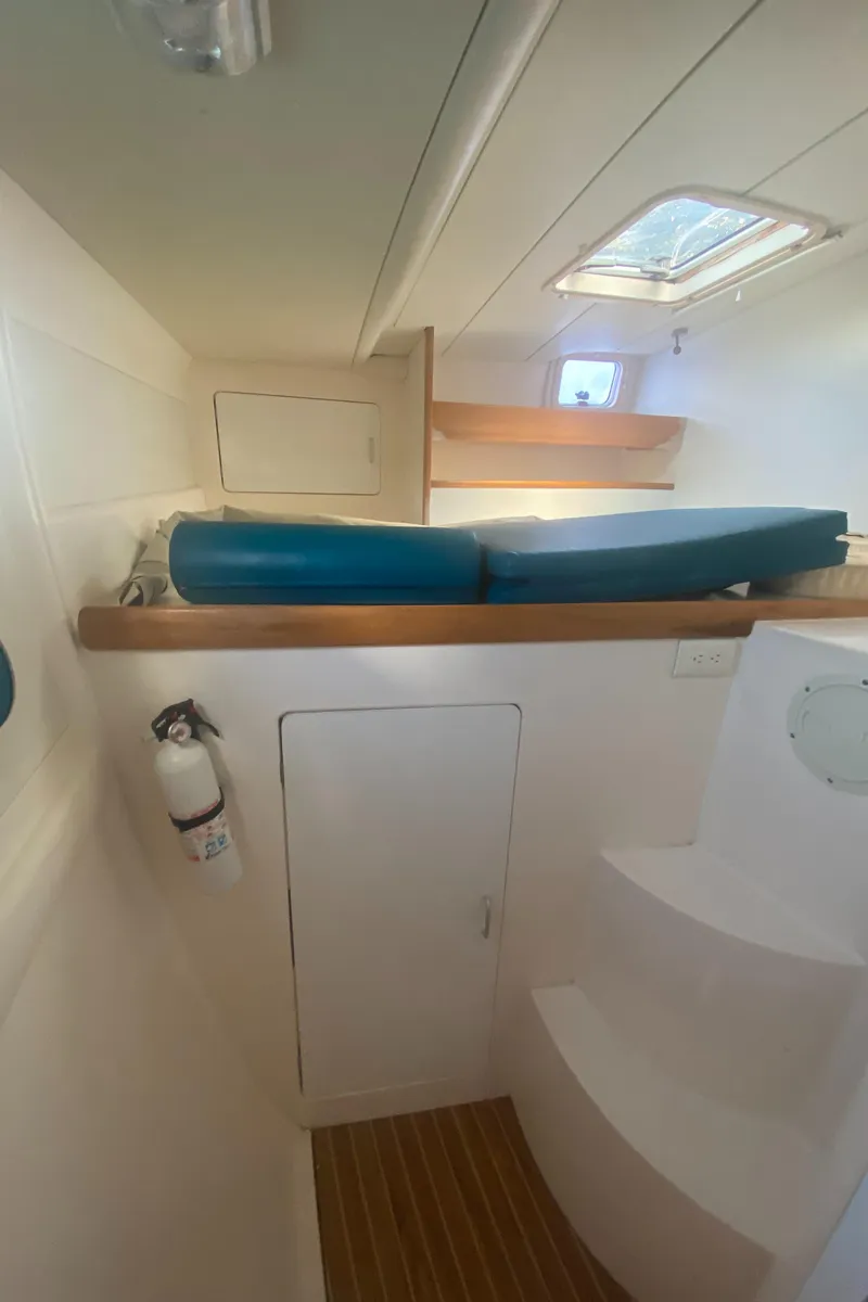 Slide: The Image of Leopard 38 2003 - 58