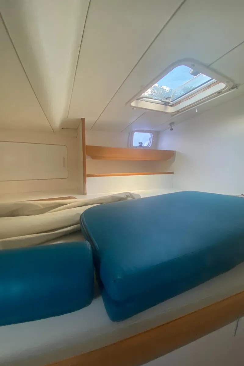 Slide: The Image of Leopard 38 2003 - 59